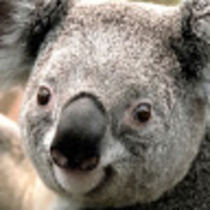 Meet your Posher, Agnes